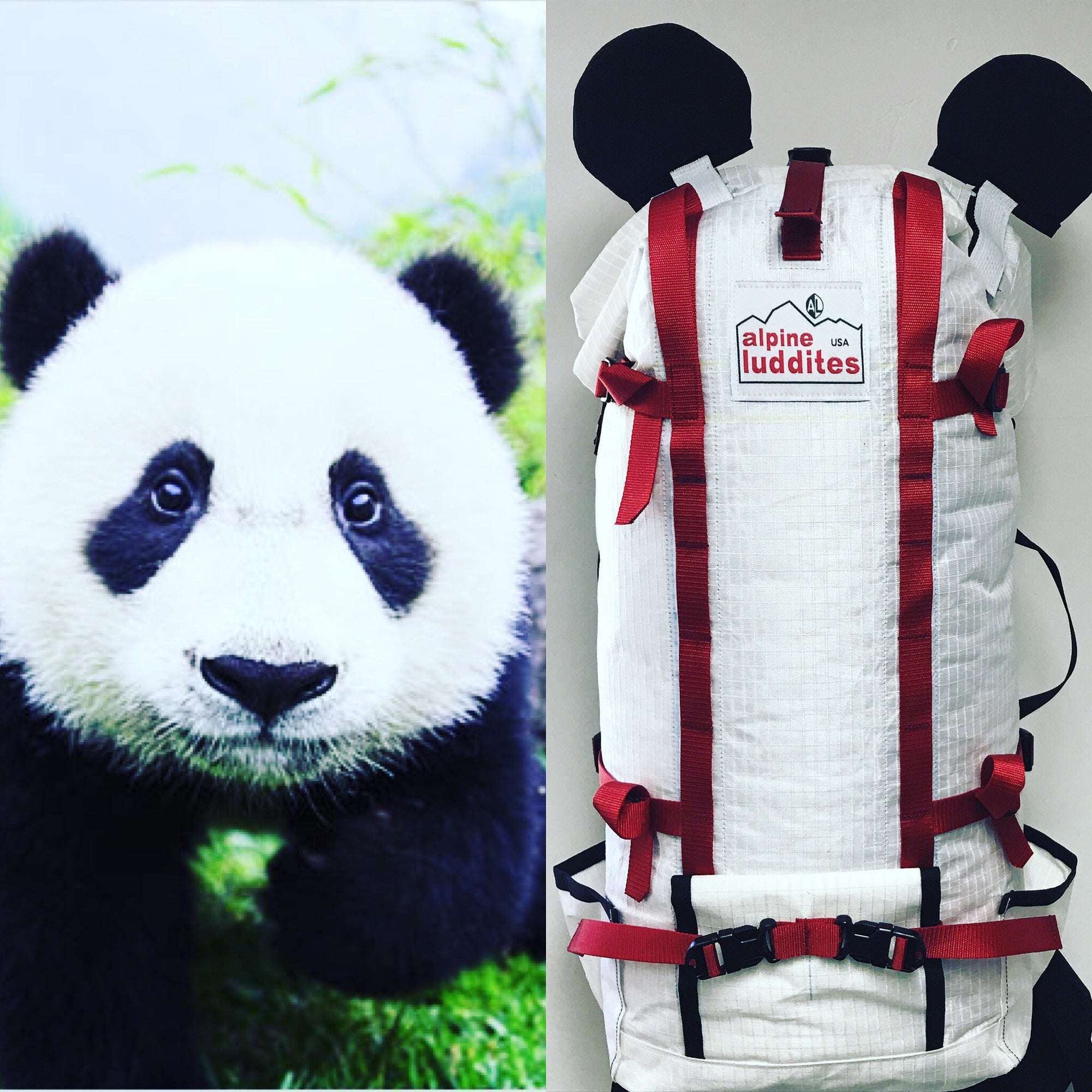 Full Custom Backpacks - Alpine Luddites