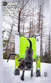 Ski Chair - Alpine Luddites